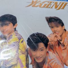 （中古EPレコード）太陽がいっぱい−光GENJI