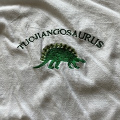 恐竜Tシャツの画像