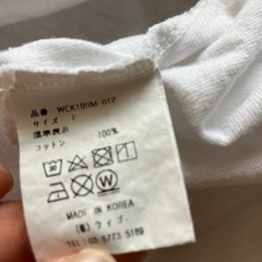 恐竜Tシャツの画像