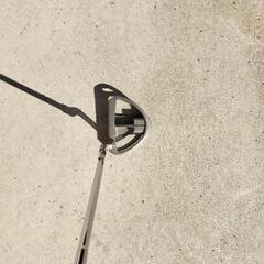 テーラーメイド　ロッサ　パター　33インチの画像