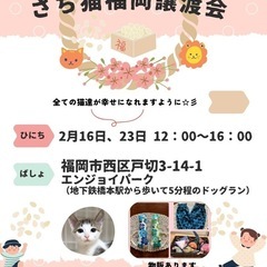 2/23 さち猫福岡譲渡会　エンジョイパーク
