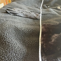 EMODA ムートンコートの画像