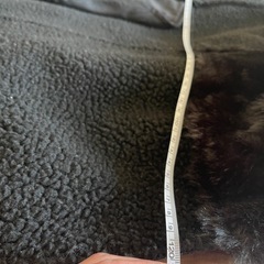 EMODA ムートンコートの画像