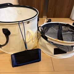 アジスカリの画像