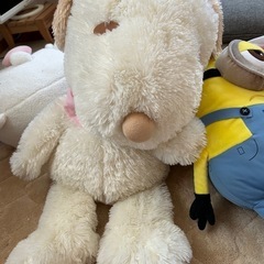 ぬいぐるみの画像