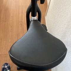 ❣️🆓❣️エアロバイクの画像