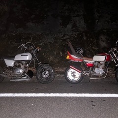 エイプ50三段シートの画像