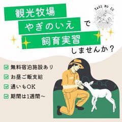 観光牧場やぎのいえ飼育実習生募集
