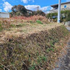 国道10号線近く原野　約１４０坪　５０万　家庭菜園などに！