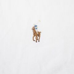 Polo Ralph Lauren ボタンダウンシャツ オックスフォードシャツ クラシックフィット 17 1/2の画像