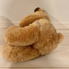 テディベア　ぬいぐるみ　くまちゃん　リボンの画像