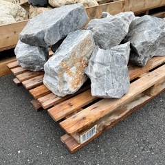 ロックガーデン　石crestロックアッシュの画像