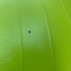 【お譲りします】小さめバランスボール 0円の画像