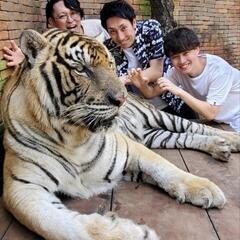 人に影響を与える仕事♪イベントディレクター、オープンニング募集♪企画や運営も★の画像