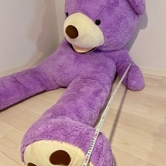 2m超え‼️ コストコ　特大くまのぬいぐるみ　紫　特大　サイズL テディベア　パープル　の画像
