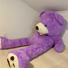 2m超え‼️ コストコ　特大くまのぬいぐるみ　紫　特大　サイズL テディベア　パープル　の画像