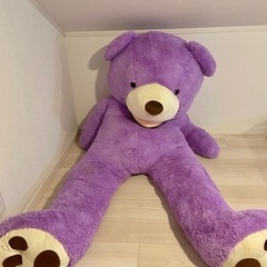2m超え‼️ コストコ　特大くまのぬいぐるみ　紫　特大　サイズL テディベア　パープル　の画像