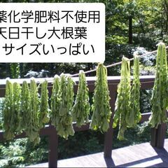 乾燥大根葉　６０サイズ箱にいっぱい