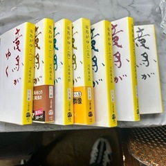 竜馬がゆく