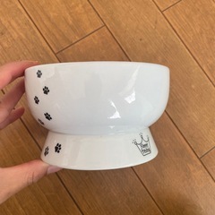 猫　ペット　水入れの画像