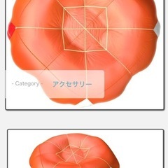 ADVANCE AXESS4 Mサイズ/ADVANCEレスキューパラSQR100/ツリーラン脱出キットなど パラグライダー ハーネス レスキュー付きの画像