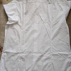 新品 6L 半袖シャツ 3枚の画像