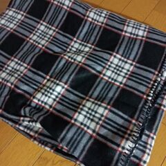 大きなブランケットの画像