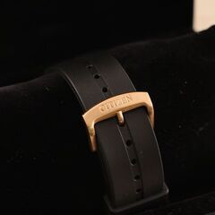 腕時計 シチズン CITIZEN プロマスター エコドライブ C660-S067634 ソーラー メンズ (P1893anxY)の画像