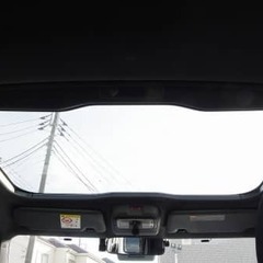 人気のタフト😊の画像