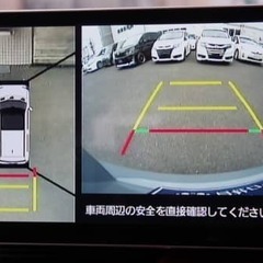 人気のタフト😊の画像