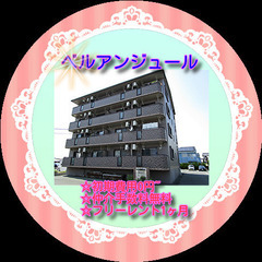 🍌ベルアンジュール301号室🍌✨仲介手数料無料✨敷金・礼金…