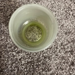 花瓶 球根用の画像