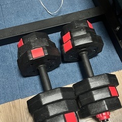ダンベル2本 dumbbell