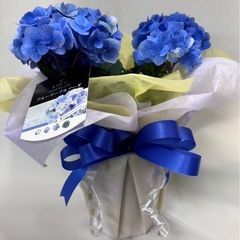 越谷市でフラワー教室！お花好きへの1歩へ❣️の画像