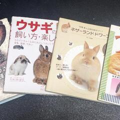 うさぎ本 ウサギ 抱合せ 中古