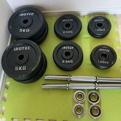 中古ダンベル 30kg×2 引き取りのみ