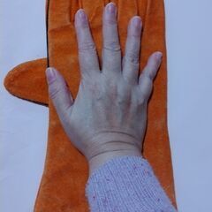 ガーデングローブ　大きいですの画像