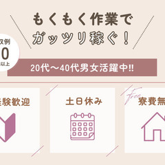 🔥日払い即入寮OK🔥スポーツウォッチに関する軽作業補助スタッフの画像