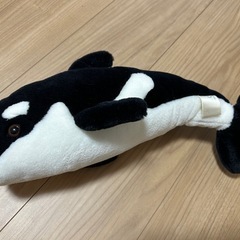 シャチぬいぐるみの画像