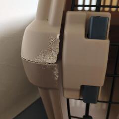 【１月末まで】小型犬用クレートの画像