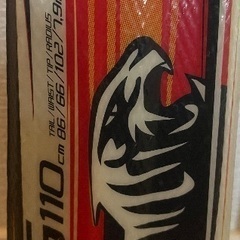 VOLKL フォルクル　ジュニア　スキー板　110cmの画像