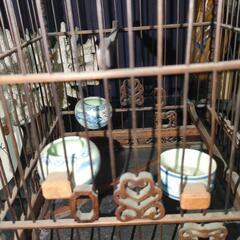 😺アンティーク　鳥小屋の画像
