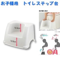 決まりトイレ踏み台