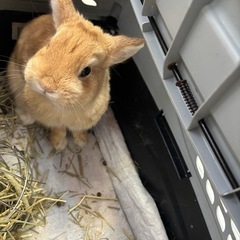 友達募集してます