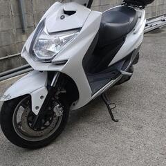 シグナス4型