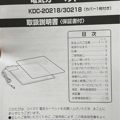 コイズミ電気カーペットの画像