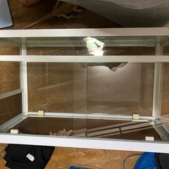 爬虫類ケージフトアゴ