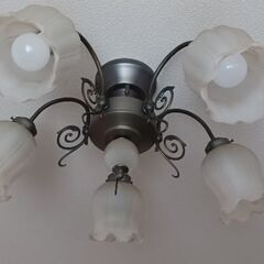 お洒落な照明器具シャンデリアキシマ社製LIGHTOP(GEM-6660C)の画像