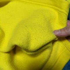 【ナイキ】キッズMの画像