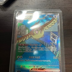 ピジョットex SR